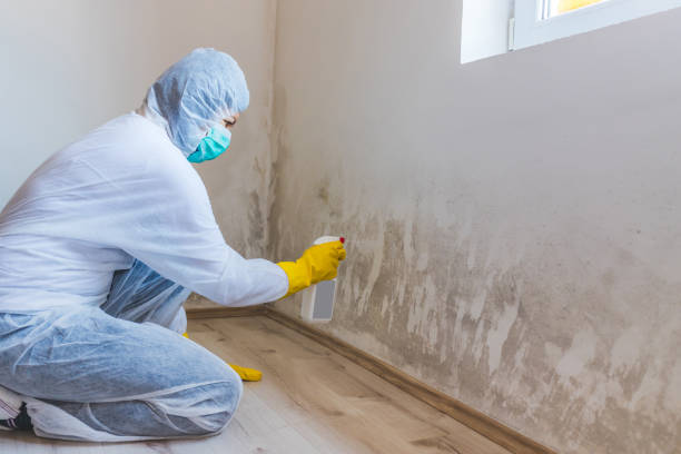 Bathroom Mold Removal assessment in Williamstown bathroom